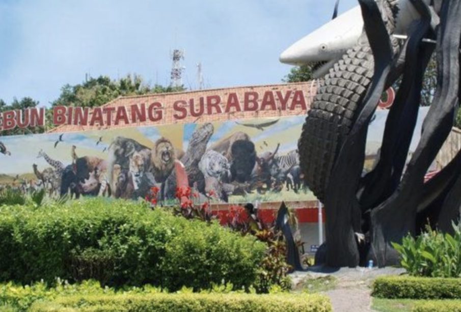 MAKI Jatim Cium Bau Mega Korupsi Menyengat Dari Kebun Binatang Surabaya