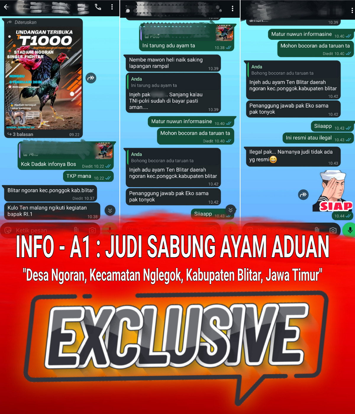 “APA KABAR” Pak Kapolda Jatim, “Sabung Ayam Aduan BLITAR Menyalah Tak Tersentuh Hukum”