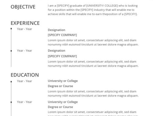 Which CV Format is Best in the UAE?