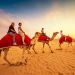 Desert Safari Dubai Dune Bashing – The Ultimate Adventure Guide