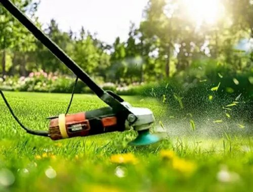 Grass Cutting Machine