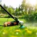 Grass Cutting Machine