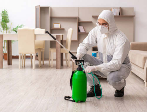 Affordable Pest Control Services in Washington D.C MD